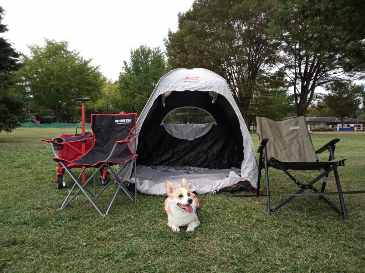 愛犬とデイキャンプ コーギーこむぎと行く昭和記念公園でデイキャンプ こむぎブログ
