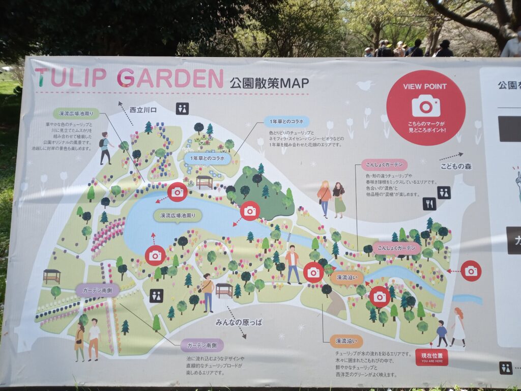 昭和記念公園のチューリップマップ