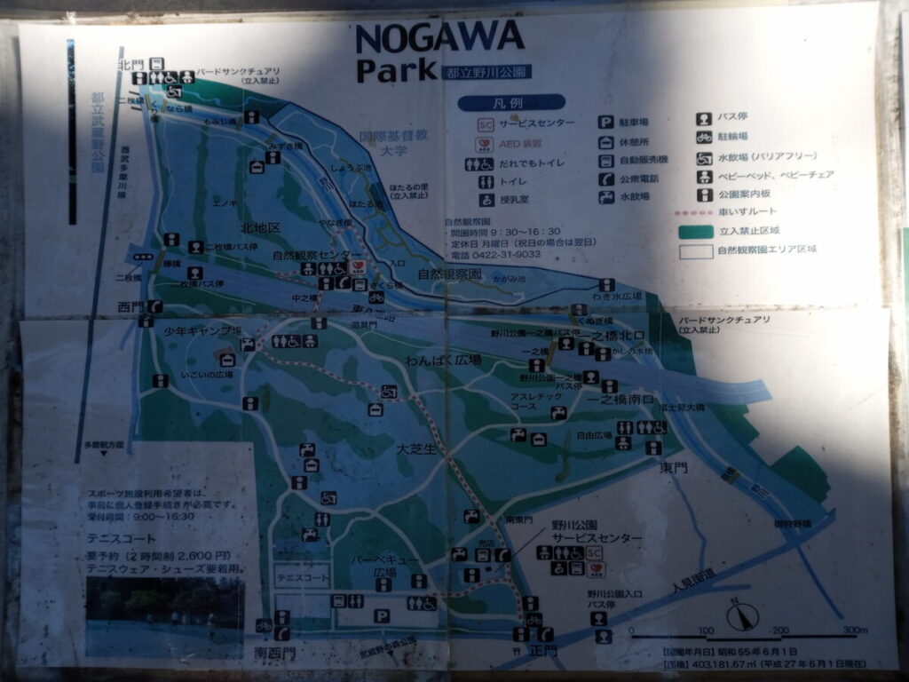 野川公園のマップ