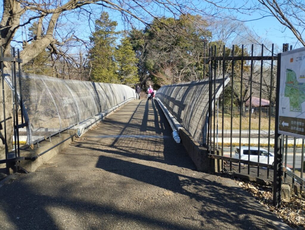 野川公園の道路を渡るための橋