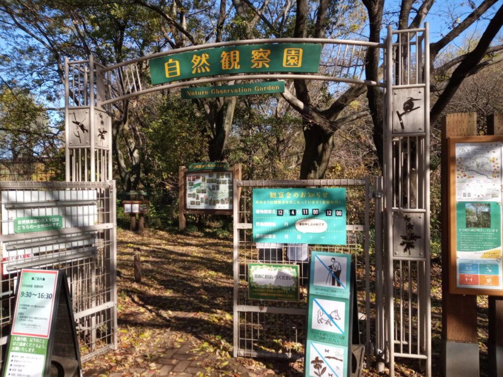野川公園の自然観察園の入り口