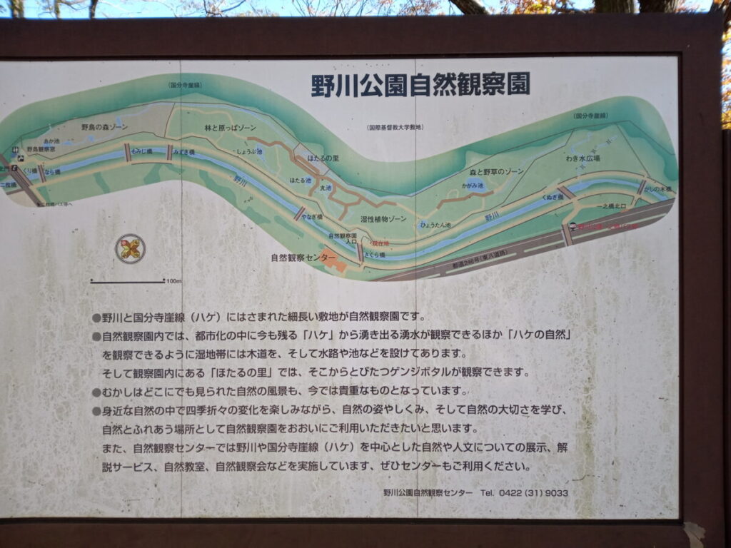 野川公園の自然観察園の地図