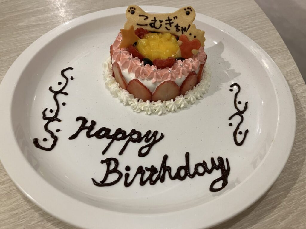 セントバーナードの愛犬用の誕生日ケーキ