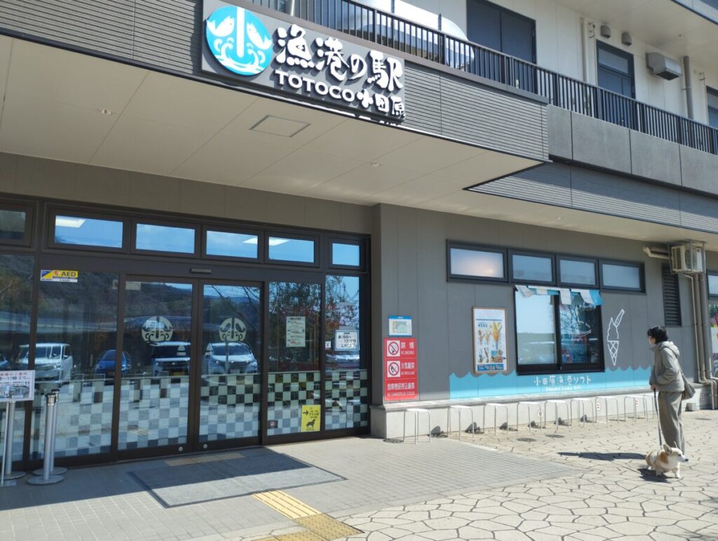 漁港の駅TOCOCO小田原の1階の入り口
