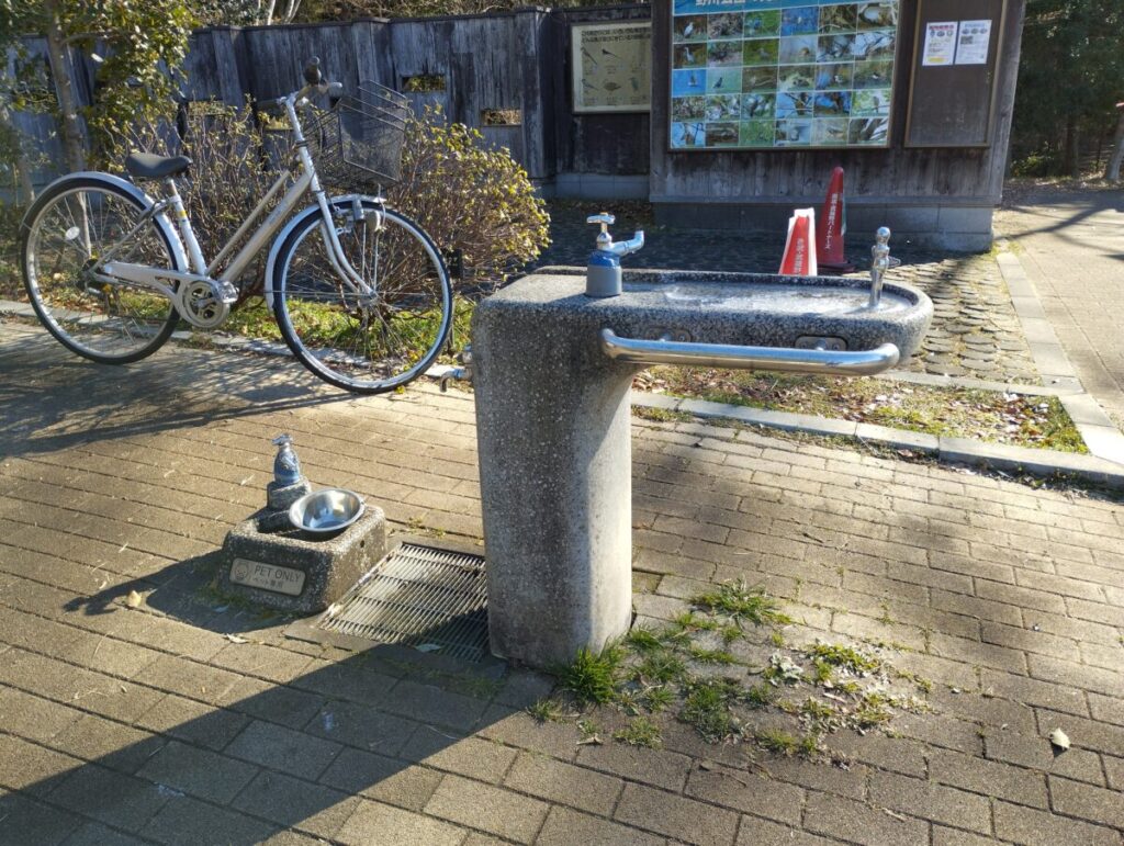 野川公園のペット専用の水飲み場