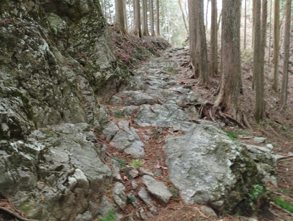 御岳神社から日の出山に向かう際の岩の道